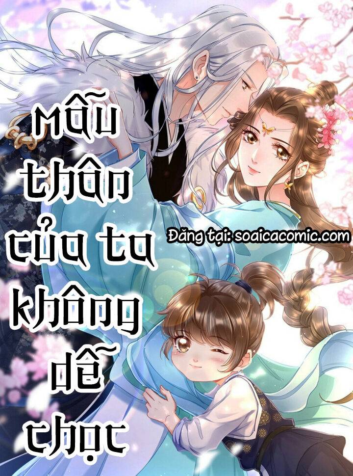 Mẫu Thân Của Ta Không Dễ Chọc